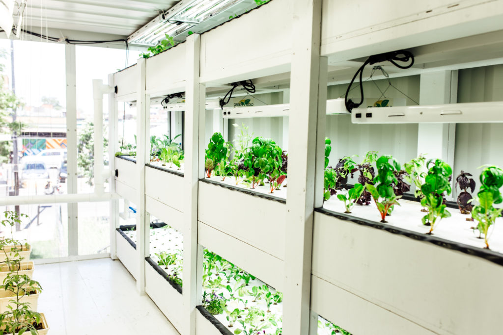 Greenhouse of plants using aquaponics