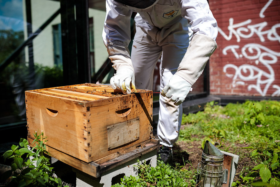 Nectar bee hive